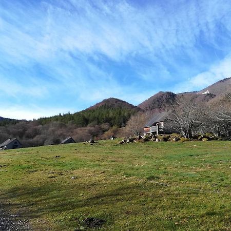 Les Chalets De La Foret D'Issaux Osse-en-Aspe Eksteriør bilde