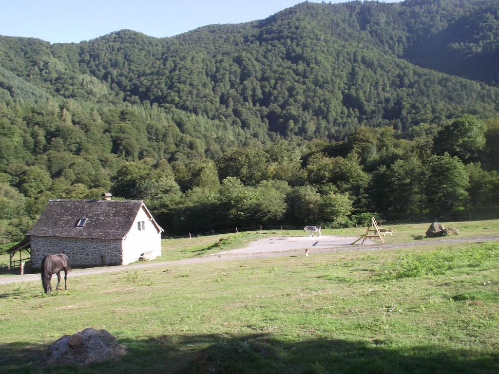Les Chalets De La Foret D'Issaux Osse-en-Aspe Rom bilde