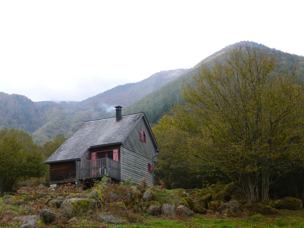 Les Chalets De La Foret D'Issaux Osse-en-Aspe Eksteriør bilde