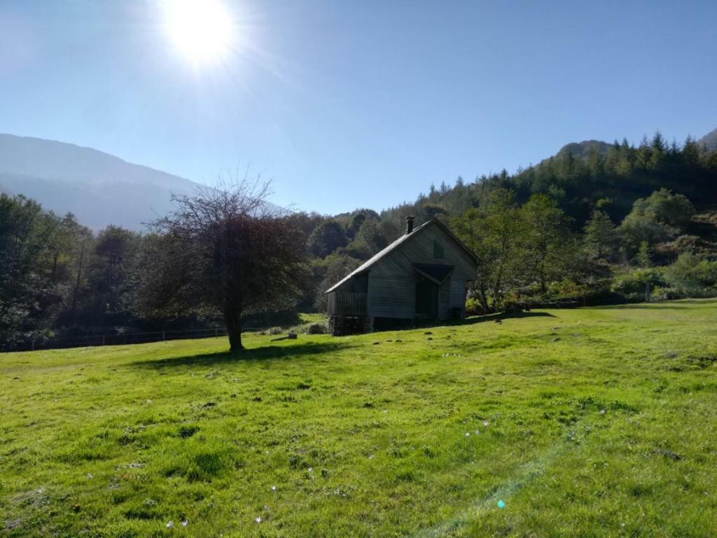 Les Chalets De La Foret D'Issaux Osse-en-Aspe Eksteriør bilde