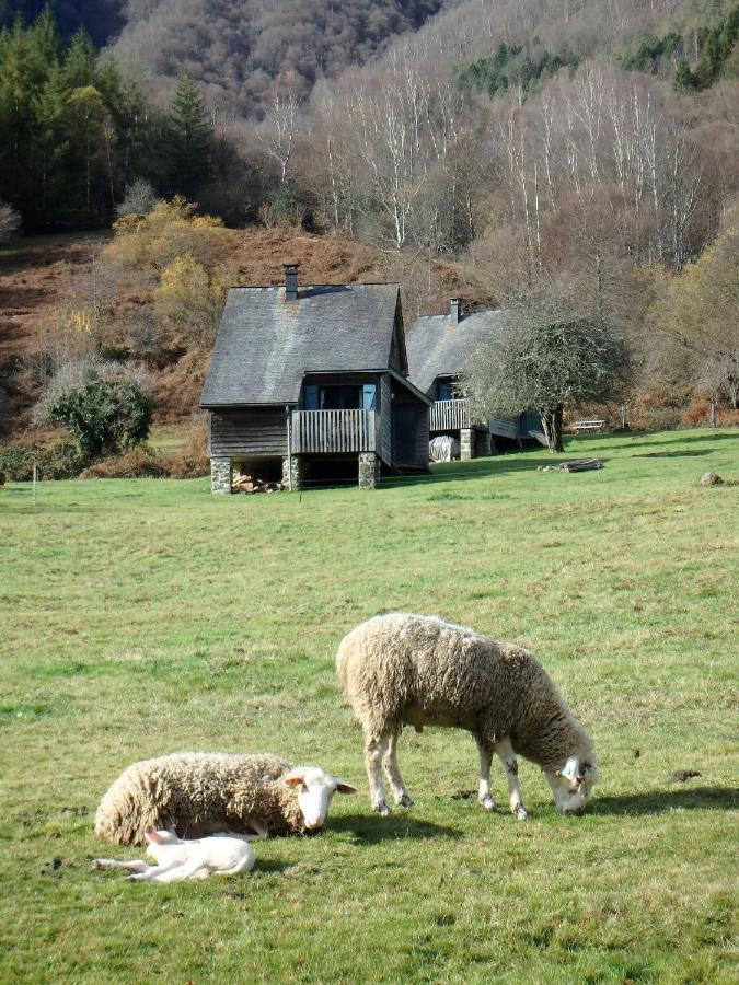 Les Chalets De La Foret D'Issaux Osse-en-Aspe Eksteriør bilde